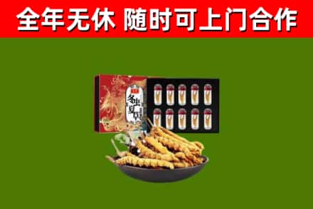 云梦县回收冬虫夏草价格